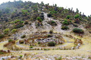 cerro quemado rela de catorce