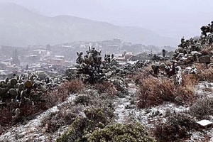 nieve en real de catorce