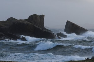 ballenas en escocia