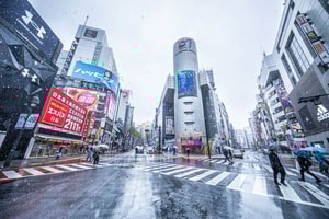 nieve en tokio