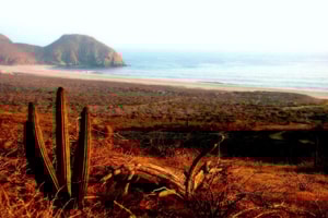 todos santos