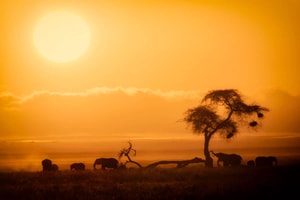 parque nacional amboseli