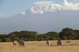parque nacional amboseli