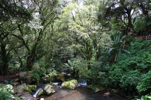 parque nacional barranca del cupatitzio