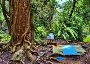 amomoxtli in tepoztlan