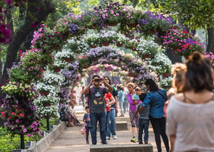 festival-de-flores-y-jardines