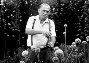 la-vida-de-bukowski