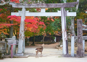 Nara es una de las ciudades principales del sur de Honshū.