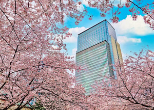 Mandarin Oriental está ubicado en pleno centro financiero de Tokio.