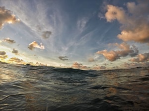 olas-en-punta-mita