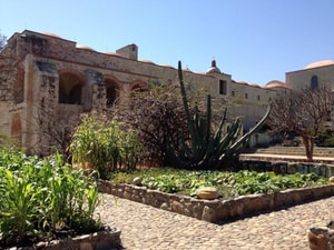ethnobotanical garden of oaxaca