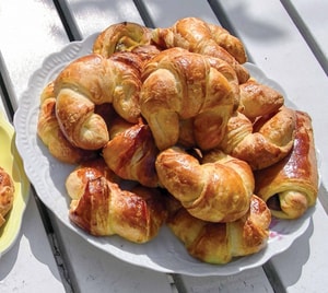 Cinco experiencias en los alrededores de Ushuaia