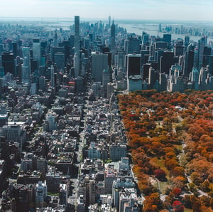 secreto de Central Park