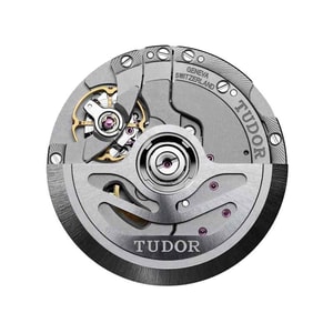 Tudor Black Bay P01