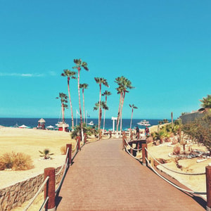 los cabos