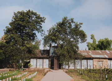 Los 21 enólogos detrás de la revolución del vino mexicano