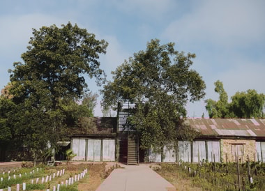 Los 21 enólogos detrás de la revolución del vino mexicano