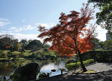 Aso: la cara menos conocida de Japón
