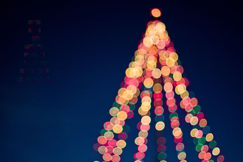 ¿Qué hacer en diciembre?