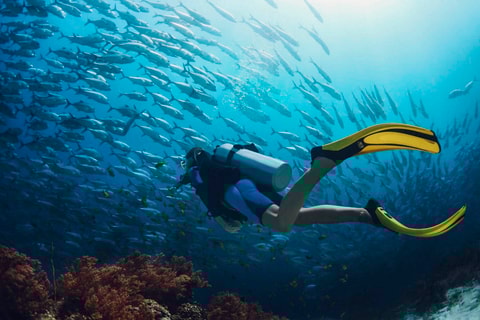 Buceo