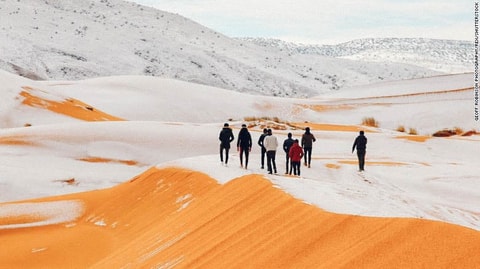 Las dunas se tiñen de blanco
