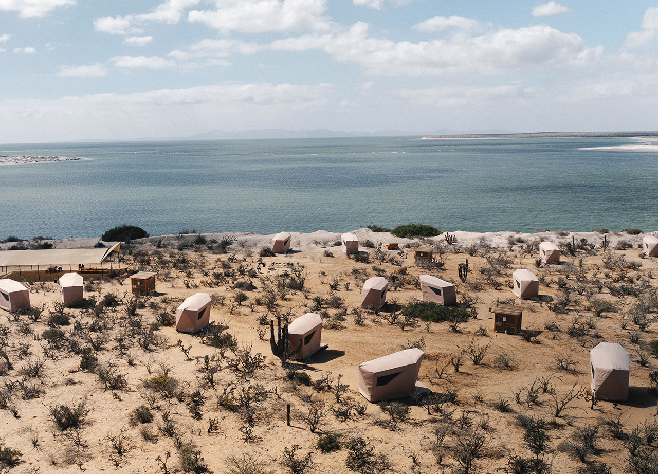 Las tents de Akampa en la bahía Magdalena. Tienen 15 tiendas, donde te puedes hospedar para salir al safari marino.