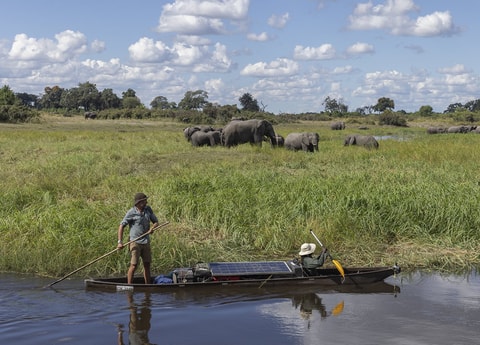 El conservacionista Steve Boyes y el miembro del equipo de expedición Gobonamang Kgetho pasan junto a una manada de elefantes mientras navegan por las aguas del río Linyanti, en Botsuana. “La herencia de científicos, guardianes y narradores de los ríos que estamos dejando en estos países crecerá hasta convertirse en un legado enorme y duradero”, afirma Boyes. Foto: © The Wilderness Project/James Kydd.