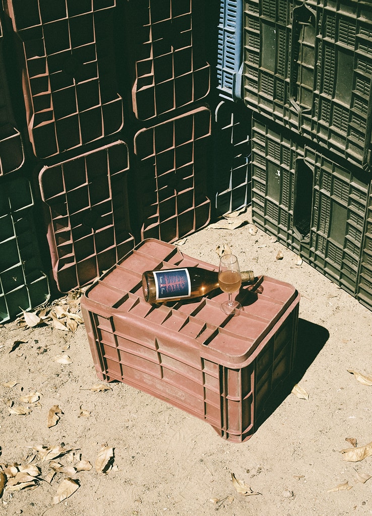 En Vinos Pijoan, los vinos buscan expresar el carácter del valle y de cada parcela a partir de procesos sobrios y sin artificios. Más que seguir tendencias, el proyecto representa una línea de tiempo constante dentro de Valle de Guadalupe, donde el vino es resultado de paciencia, conocimiento heredado y arraigo al lugar, con etiquetas como Árbol de Fuego, que sintetizan esa visión.